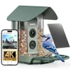 Kiwibit kiwibit smart bird...
