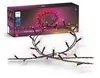 Philips Hue Festavia String...