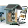 Kiwibit Beako™ Smart Bird...