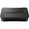 Canon PIXMA TS302 Wireless...