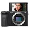 Sony a6600 Mirrorless Camera