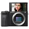 Sony a6600 Mirrorless Camera