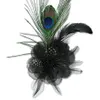 Yola Peacock Feather Brooch...