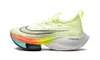 Nike Women's Air Zoom...