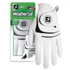 FootJoy 2017 Ladies New...