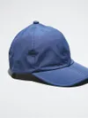 Sealskinz Sealskinz Blue...