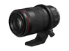 Canon RF 100mm f/2.8L Macro...