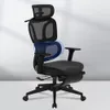 FLEXISPOT ErgoX Premium...