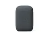 Nest Audio (Charcoal)