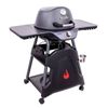 Char-Broil All-Star 125...