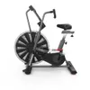 Schwinn Airdyne AD8,...