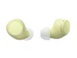 Sony WF-C510 Truly Wireless...