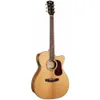 Cort GOLDOC6-BO Gold Series...