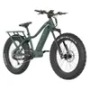 Apex 10 Electric Bike - 1000W...