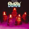 Burn [VINYL]