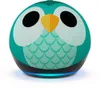 Amazon - Echo Dot Kids (5th...