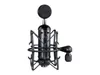 Blue Blackout Spark SL XLR...