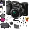 Sony Alpha a6000 Mirrorless...