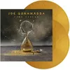 Time Clocks (Limited Gold...