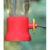 Elser Hummingbird Feeder
