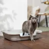 Frisco Senior & Kitten Cat...