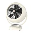Vornado VFAN 13.8 in. H X...