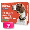 PitPat GPS Dog Tracker No...