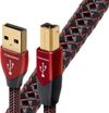 AudioQuest Cinnamon USB cable...