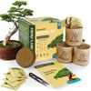 Bonsai Starter Kit -...