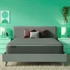 Tuft & Needle Mint Mattress...