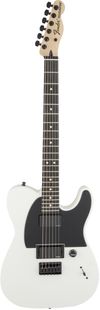 Fender Jim Root Telecaster...