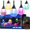 Govee Clear Bulb Outdoor...