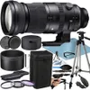 Sigma 150-600mm f/5-6.3 DG DN...