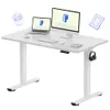 FLEXISPOT EN1 48x24 One-Piece...