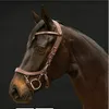 PresTeq FaySport Snaffle...