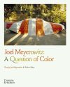 Joel Meyerowitz: A Question...