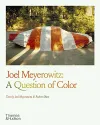 Joel Meyerowitz: A Question...