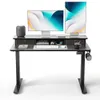 FEZIBO Electric Standing Desk...