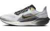 Nike Men's AIR Zoom Pegasus...