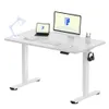 FLEXISPOT EN1 48x24 One-Piece...