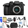 Panasonic Lumix DC-GH5...