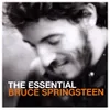The Essential Bruce...