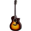 Taylor 414ce-R Electro...