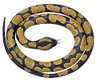 WILD REPUBLIC Rubber Snake,...