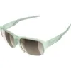 POC Define Sunglasses...