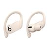 Beats Powerbeats Pro Wireless...