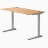 Jarvis Bamboo Standing Desk,...