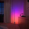 Philips Hue Gradient Signe...