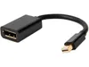 StarTech.com MDP2DPMF6IN 6in...
