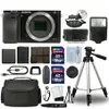 Sony Alpha a6000 Mirrorless...